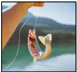 Get Off The Hook & Handle Your Outstanding Debt, The Right Way!